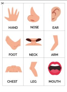 Screenshot_20251027-212600_Chrome